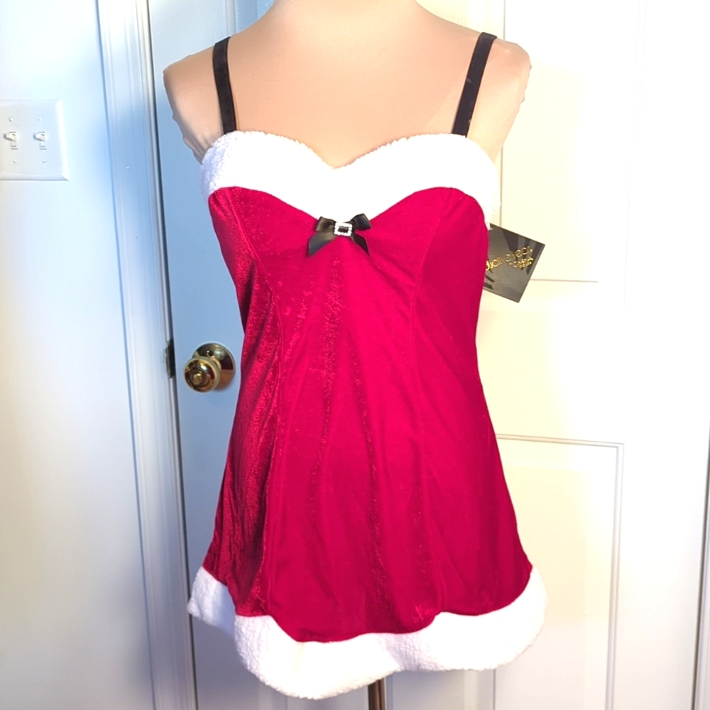 Seductivewear Santa Dress NWT